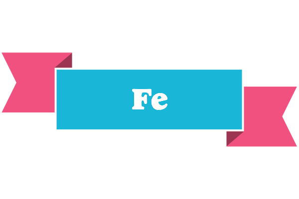 Fe today logo