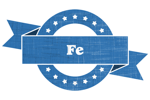Fe trust logo