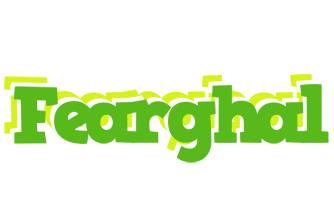 Fearghal picnic logo