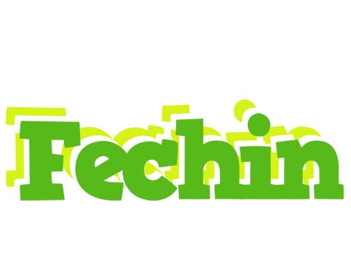 Fechin picnic logo