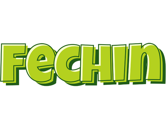 Fechin summer logo