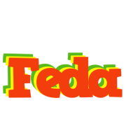 Feda bbq logo