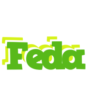 Feda picnic logo