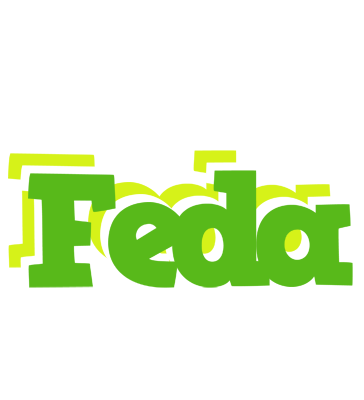 Feda picnic logo