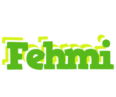 Fehmi picnic logo