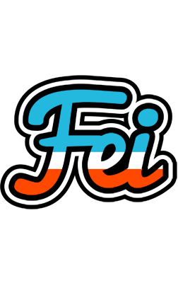 Fei america logo