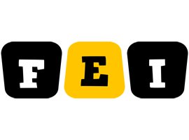 Fei boots logo