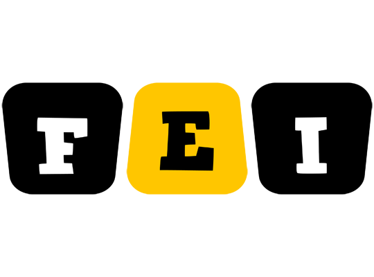 Fei boots logo