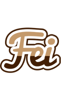 Fei exclusive logo