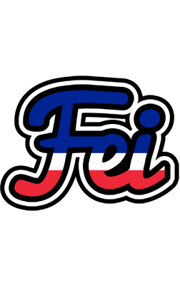 Fei france logo