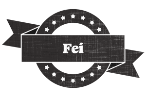 Fei grunge logo