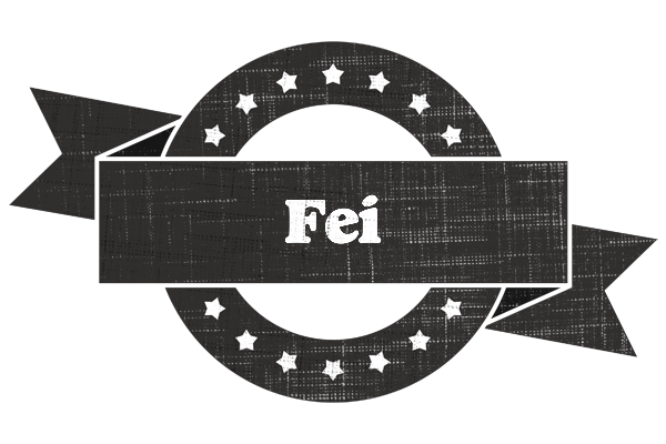 Fei grunge logo