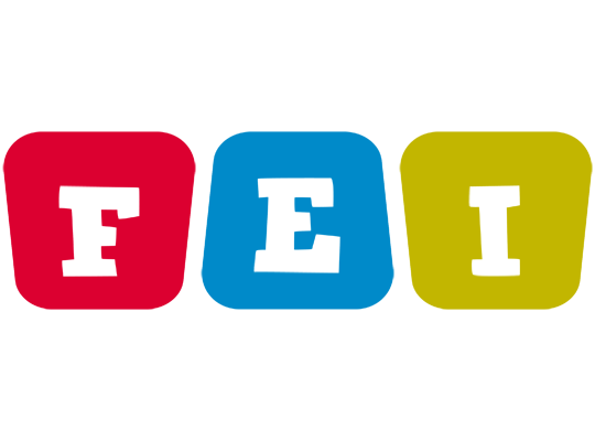 Fei kiddo logo