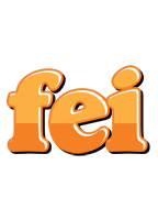 Fei orange logo