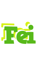 Fei picnic logo