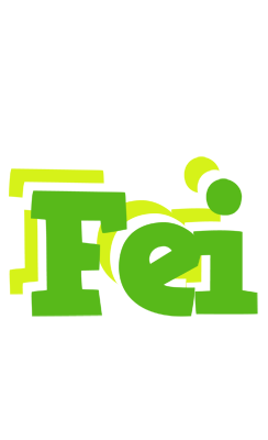 Fei picnic logo