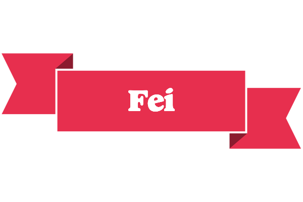 Fei sale logo