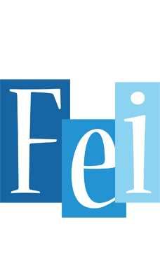 Fei winter logo