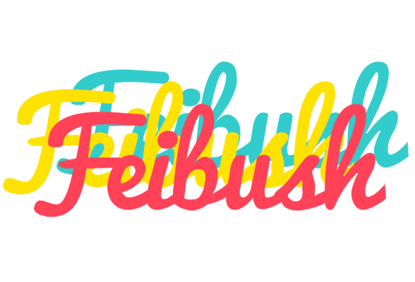 Feibush disco logo