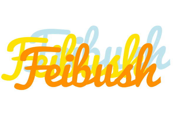 Feibush energy logo