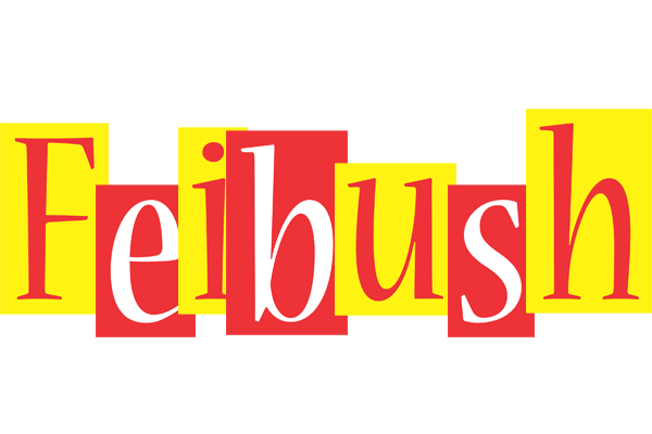 Feibush errors logo