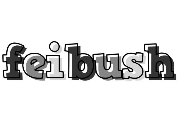 Feibush night logo