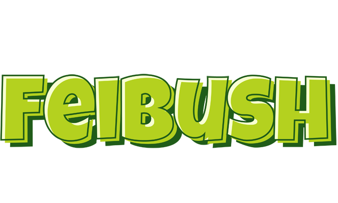Feibush summer logo