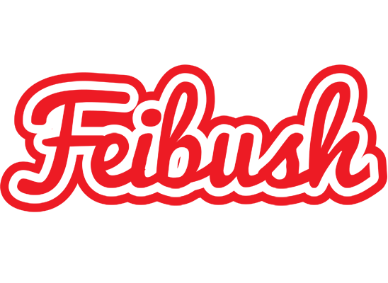 Feibush sunshine logo