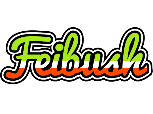 Feibush superfun logo