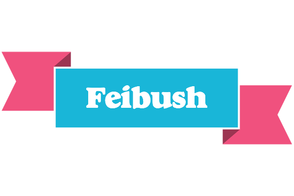 Feibush today logo