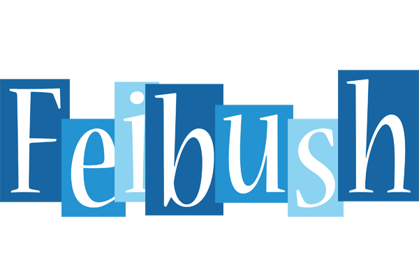 Feibush winter logo