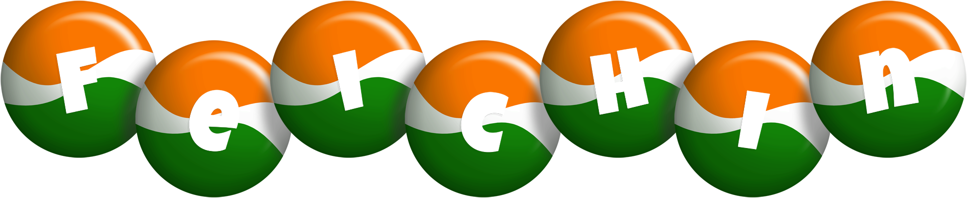 Feichin india logo