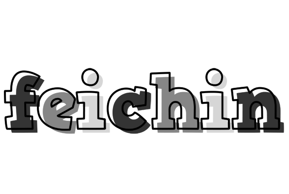 Feichin night logo