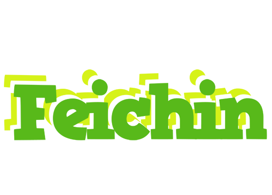 Feichin picnic logo