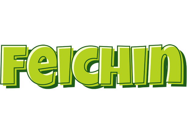 Feichin summer logo