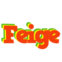 Feige bbq logo