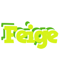 Feige citrus logo