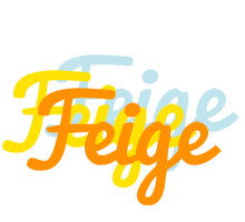 Feige energy logo