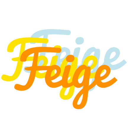 Feige energy logo