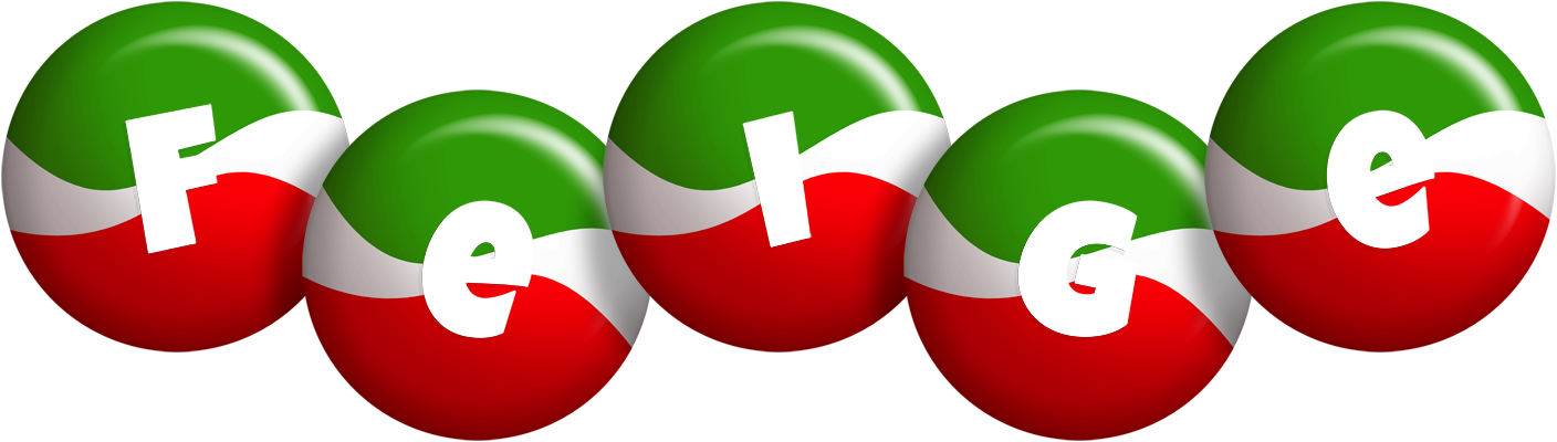 Feige italy logo