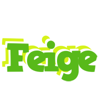 Feige picnic logo