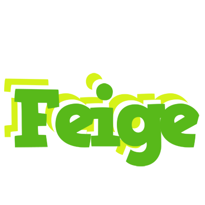 Feige picnic logo