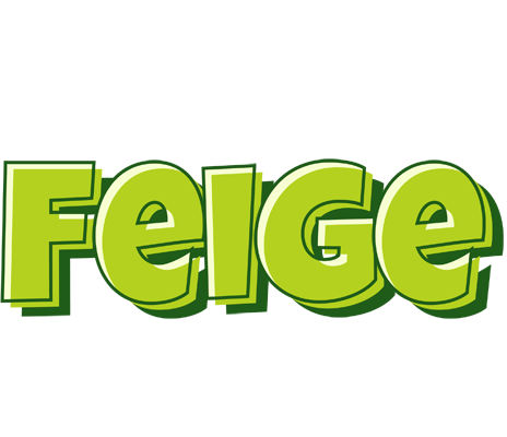 Feige summer logo