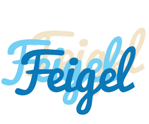 Feigel breeze logo