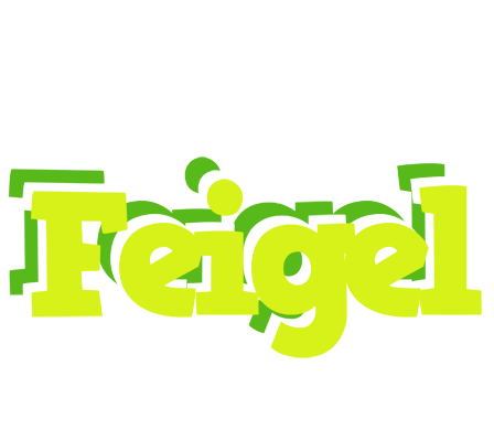 Feigel citrus logo