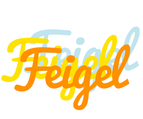 Feigel energy logo