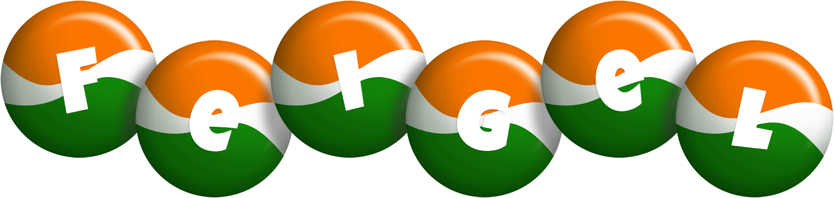 Feigel india logo
