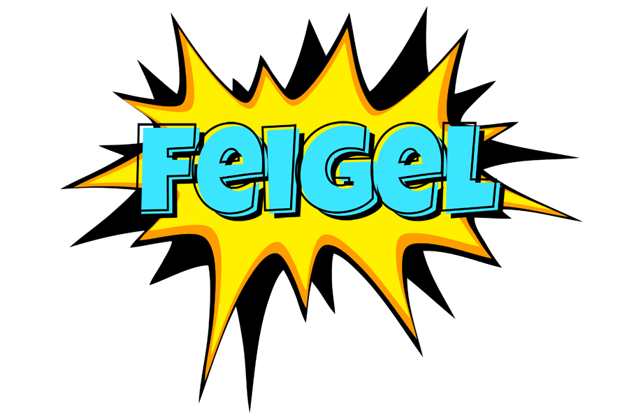Feigel indycar logo