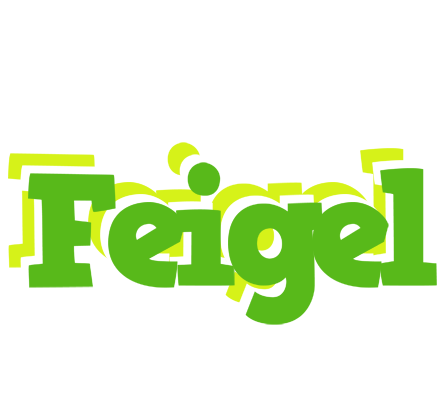 Feigel picnic logo