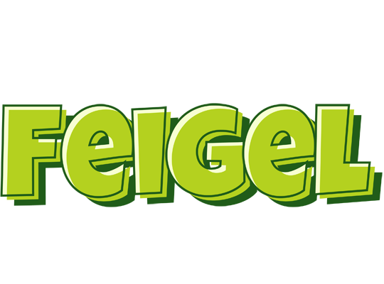 Feigel summer logo
